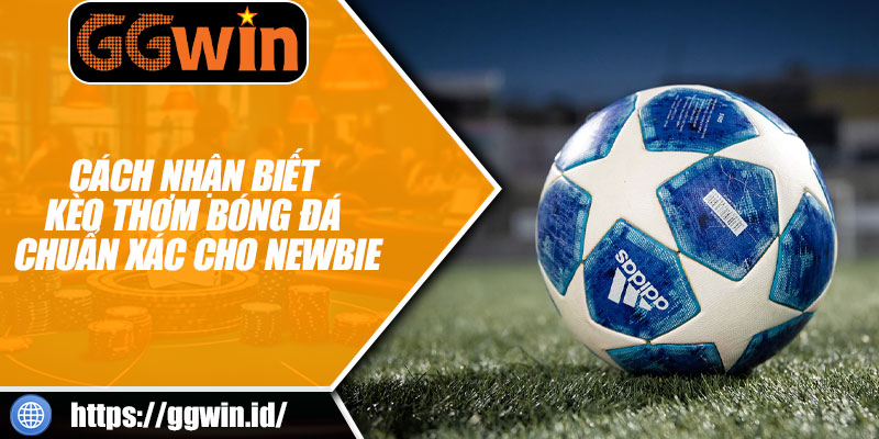 Cách Nhận Biết Kèo Thơm Bóng Đá Chuẩn Xác Cho Newbie