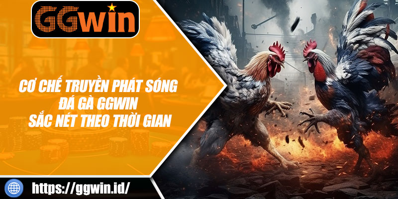 Cơ Chế Truyền Phát Sóng Đá Gà GGWIN Sắc Nét Theo Thời Gian