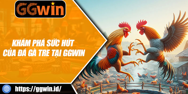 Khám Phá Sức Hút Của Đá Gà Tre Tại GGWIN