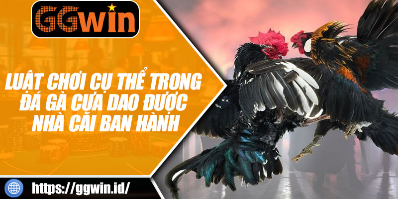 Luật Chơi Cụ Thể Trong Đá Gà Cựa Dao Được Nhà Cái Ban Hành
