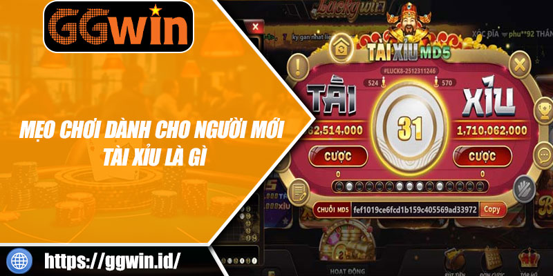 Mẹo Chơi Dành Cho Người Mới Tài Xỉu Là Gì