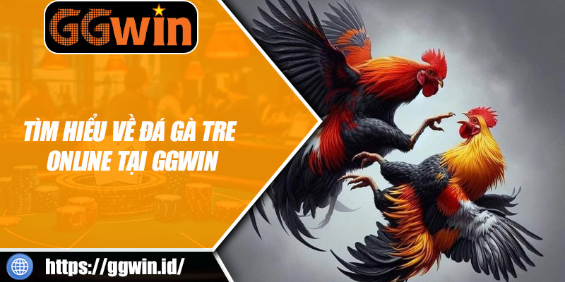 Tìm Hiểu Về Đá Gà Tre Online Tại GGWIN